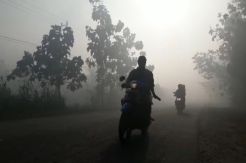 Dampak Karhutla, Kabut...