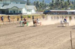 Lomba Karapan Sapi Warnai HUT Pertama Korem 131/Nani Wartabone