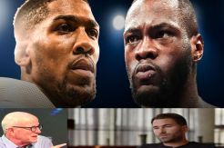 Panas, Hearn Ragukan Wilder vs Ortiz, Finkel: Urusi Nasib Joshua