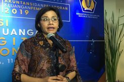 Sri Mulyani Akui Baper...