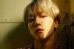 Baekhyun: EXO Segera...