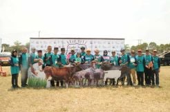 Lebak Siap Menjadi Lumbung Ternak