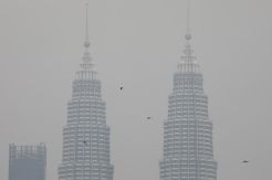 Perusahaan Malaysia Akui Jadi Biang Kebakaran Hutan di Indonesia