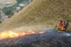 20 Hektare Hutan Kawasan Danau Toba Terbakar