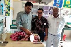 Bayi Perempuan di India...