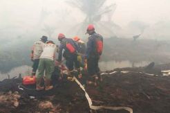 Kirim Puluhan Personel, DKI Bantu Padamkan Karhutla di Jambi