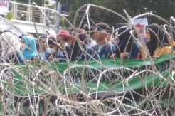 Gerakan BEM Dukung Jokowi Tak Keluarkan Perppu KPK