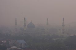 Pandangan Islam Terhadap Orang yang Membakar Hutan dan Lahan