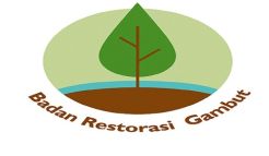 Akurasi Peta Masih Jadi Hambatan Upaya Restorasi Gambut