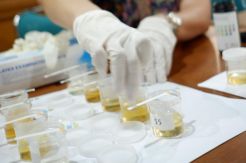 Edukasi Kesehatan Ginjal Sangat Penting buat Masyarakat