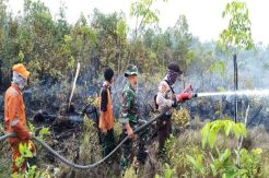Karhutlah, 106 Ribu Hektare Lahan Terbakar Sumsel