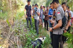Heboh, Mayat Tukang Ojek Ditemukan di Kebun Sawit
