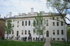 Universitas Harvard...