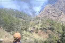 3 Hari Api Belum Bisa Dipadamkan, 90% Hutan Ringgit Sudah Terbakar