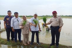 Tambah LTT di Sumut, Kementan Siapkan Rencana Aksi Jitu