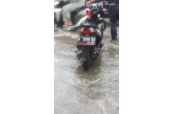 Hindari Pohon Tumbang, Pemotor 50 Tahun di Bogor Tewas