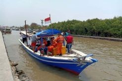 Mayat Pria Tanpa Identitas Tersangkut di Pohon Bakau Pulau Tunda