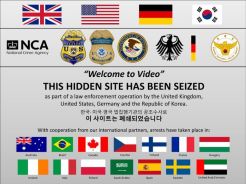 Jaringan Website Pornografi Anak Dibongkar, 338 Orang Ditahan