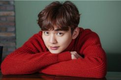Yoo Seung Ho Bintangi...