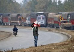 Perdagangan Apel Kashmir Kembali Pulih Setelah Blokade India