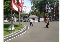 Jelang Pengumuman Kabinet, Bos Gojek Merapat ke Istana