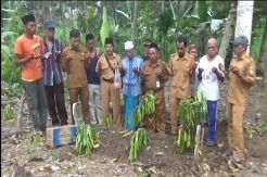 Agus Korban Terbakar Kios Bensin di Tanggamus Akhir Meninggal, Anaknya Masih Dirawat