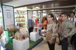 Festival PLN Peduli...