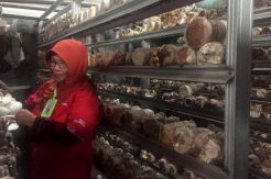 Pertamina Berdayakan Ekonomi Masyarakat di Sekitar Kilang Cilacap