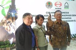 Elang Jawa Terancam Punah, Taman Safari Hanya Punya Tiga Pasang