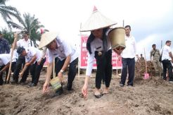 Tanam Jagung di Areal Replanting Sawit, Program Peningkatan Ekonomi Rakyat
