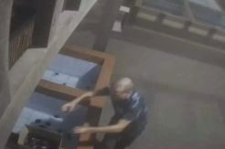 Tertangkap Kamera CCTV, Diduga Warga Asing Curi Penyu Langka di Bali
