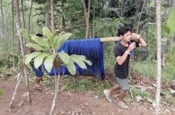 5 Pelajar SMP asal BSD Tewas Tenggelam di Baduy