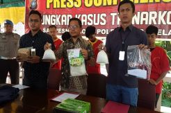 Penyeludupan Sabu dari Malaysia ke Batam Gagal, Jaringan Internasional Dibekuk