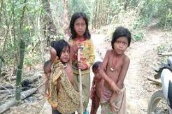 Asal Usul dan Cara Hidup Suku Anak Dalam di Sumatera