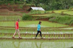 Empat Desa Wisata RI Masuk Top 100 Destinasi Berkelanjutan Dunia