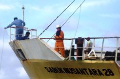 Kapal Perintis Pelni Tingkatkan Konektivitas Antarpulau