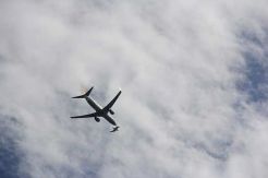 Video Seekor Burung Hancur Bertabrakan dengan Pesawat Boeing 737