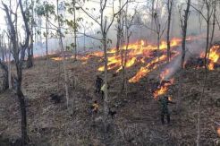 Satgas Pamtas RI-RDTL Yonif 132/BS Padamkan Karhutla