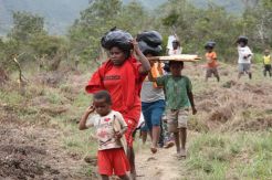 Pemekaran Provinsi Papua Langkah Tepat Atasi Tuntutan Referendum