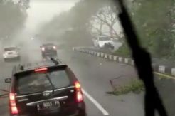 Diterjang Angin dan Hujan Deras, Puluhan Pohon di Pantura Demak Tumbang