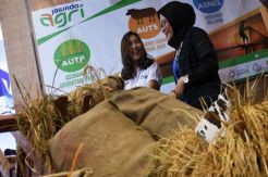 AUTP Minimalisir Kerugian Petani di Musim Kekeringan