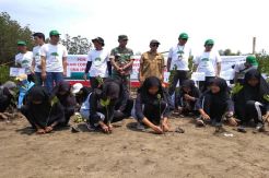 Pertamina Tanam 5.000 Pohon Mangrove di Pantai Utara Banten