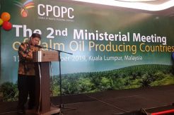 Indonesia-Malaysia Bersatu Tingkatkan Posisi Kelapa Sawit di Mata Dunia