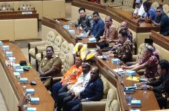Tim Pemekaran Papua...