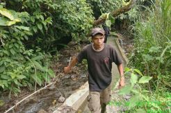 Berkah Kehadiran PLTA Batangtoru, Irigasi Lancar dan Sawah Tak Terancam