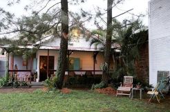 Tak Hanya Nikmat, 4 Kedai Kopi Ini Mengusung Konsep Alam