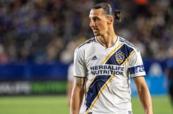 Pelatih AC Milan Sanjung Ibrahimovic Sebagai Juara Sejati