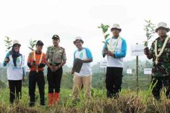 Cegah Erosi, 26.000 Bibit Kopi Arabica Ditanam di Hulu Sungai Serayu