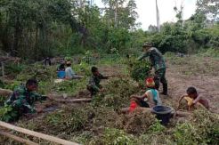 Satgas Yonif RK 136 Ajarkan Penduduk Suku Mausu Ane Mengolah Lahan Kosong