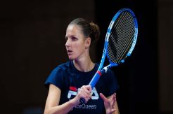 Pisah dari Conchita Martinez, Karolina Pliskova Gandeng Vallverdu